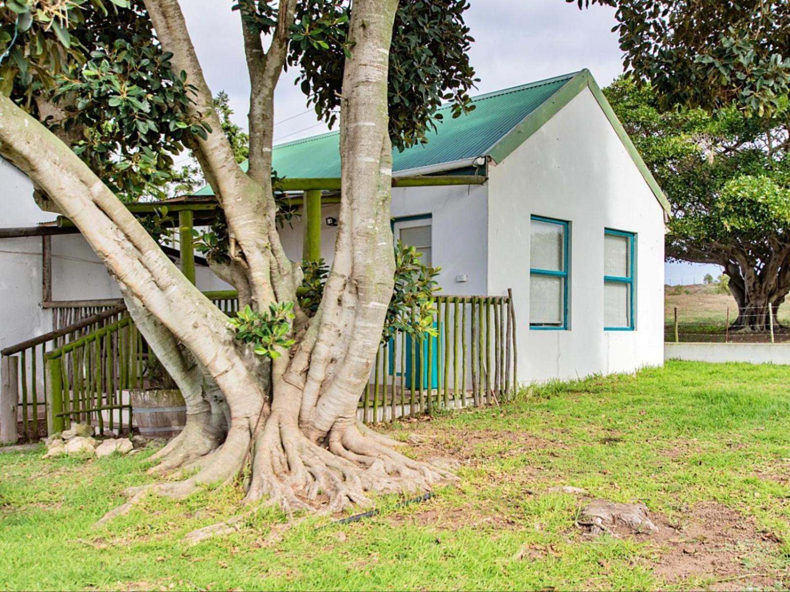 Wiggins Self Catering Jacobs Bay Exterior foto